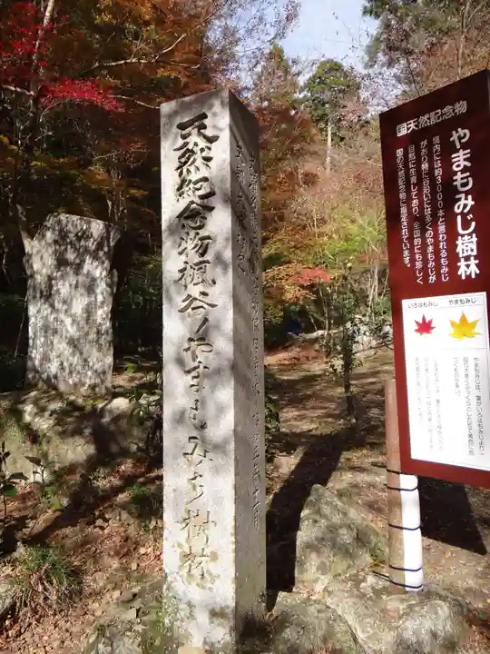 大矢田神社(岐阜県)