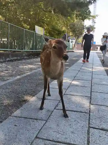 海龍王寺(奈良県)