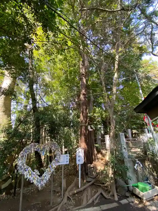 座間神社(神奈川県)