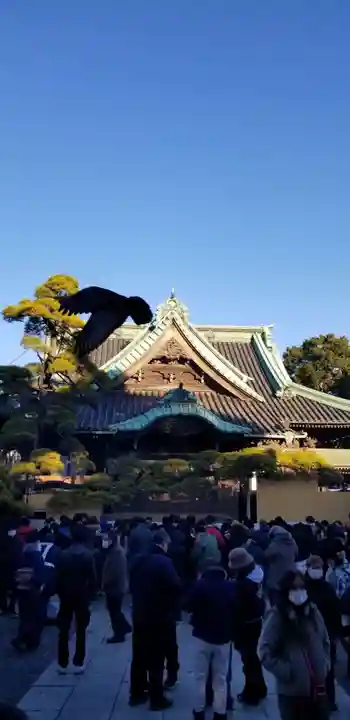 題経寺(柴又帝釈天)のその他建物
