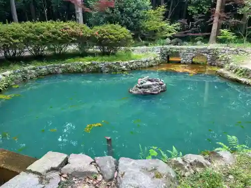 大麻比古神社の{uncategorized: "未分類", other: "その他", undefined: "問題あり", building: "その他建物", grave: "お墓", sacred_gate: "鳥居", guardian: "狛犬", statue: "像", buddha: "仏像", history: "歴史", nature: "自然", garden: "庭園", animal: "動物", pagoda: "塔", temizu: "手水舎", mountain_gate: "山門・神門", sanctuary: "本殿・本堂", subordinate: "末社・摂社", art: "芸術", scenery: "景色", jizo: "地蔵", ema: "絵馬", goshuin: "御朱印", omikuji: "おみくじ", items: "授与品その他", amulet: "お守り", goshuincho: "御朱印帳", eats: "食事", festival: "お祭り", votive_dance: "神楽", shichigosan: "七五三参", wedding: "結婚式", experience: "体験その他", initially: "初詣", around: "周辺", anti_infection: "感染症対策"}