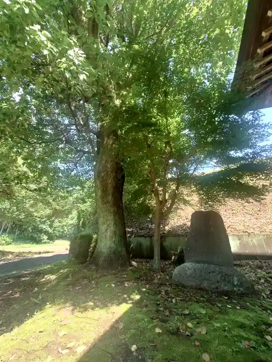 熊野神社(神奈川県)