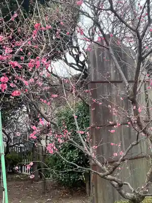 亀戸天神社(東京都)