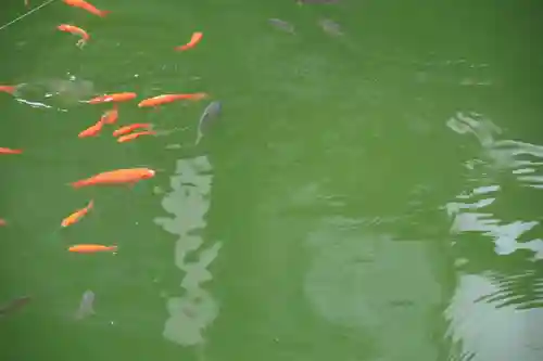 神炊館神社 ⁂奥州須賀川総鎮守⁂の庭園
