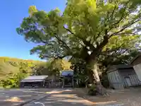 日和佐八幡神社(徳島県)
