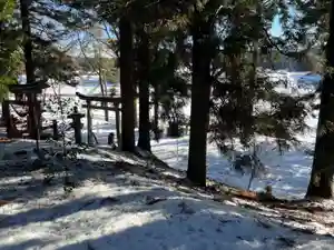 大宮温泉神社(栃木県)(2023年02月11日(土) 09時27分37秒投稿)