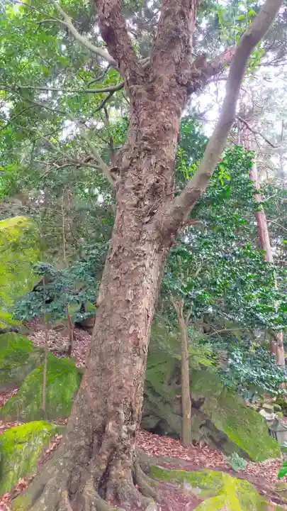 住吉神社の自然