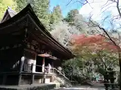 室生寺の本殿