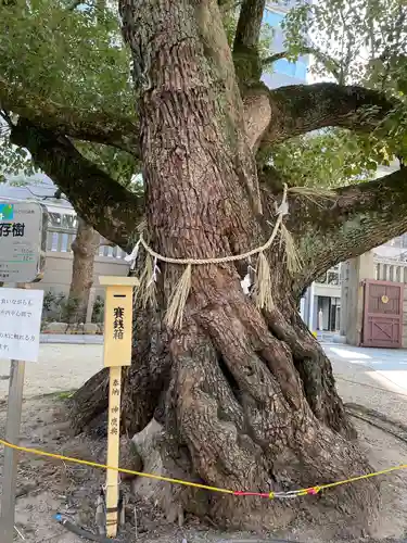 サムハラ神社の自然