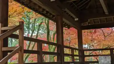 真正極楽寺(真如堂)(京都府)