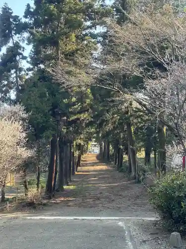 千代ケ岡八幡宮(栃木県)