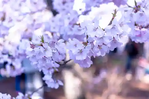 新城藤原神社(長野県)