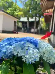 鹿島台神社の自然