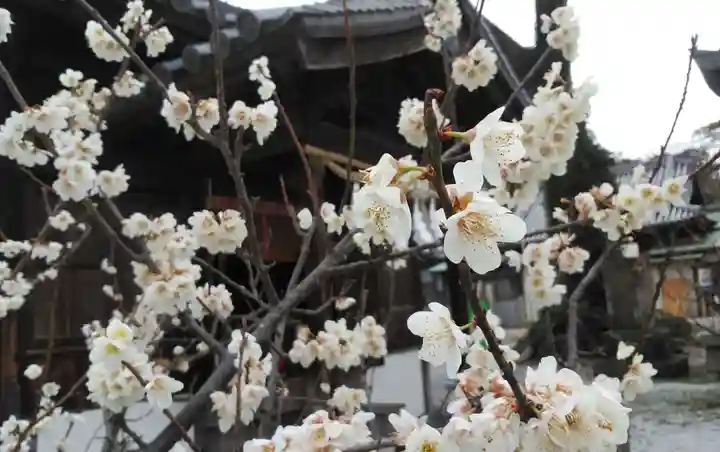 曩祖八幡宮の自然