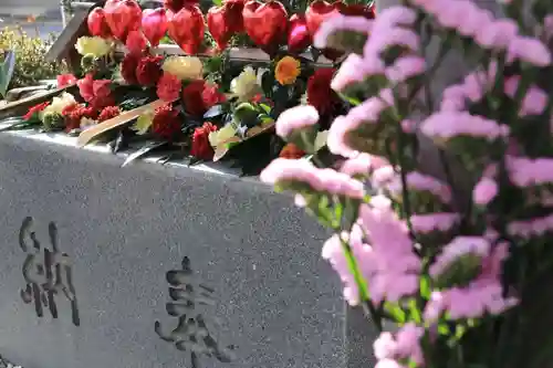 豊景神社の手水