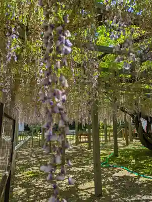 惣社神社(滋賀県)