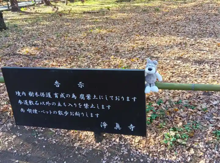 淨眞寺(東京都)