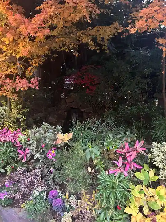 東京大神宮(東京都)