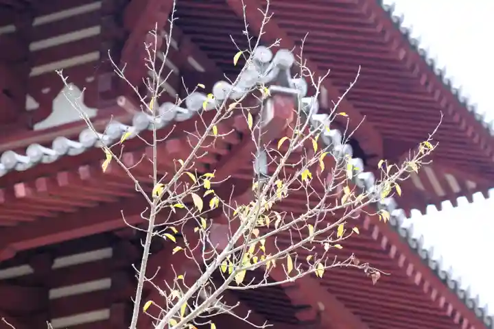 法輪寺(奈良県)