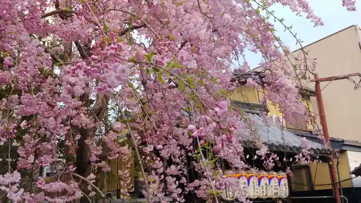 石像寺(釘抜地蔵)の自然