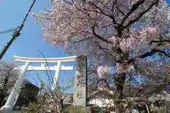 宝登山神社の鳥居