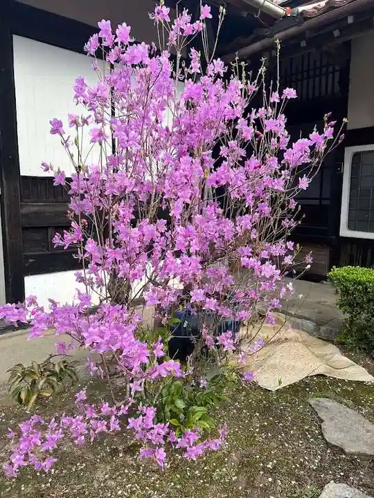 木舟山 順教寺(広島県)