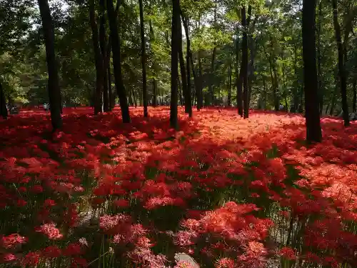 聖天院の自然