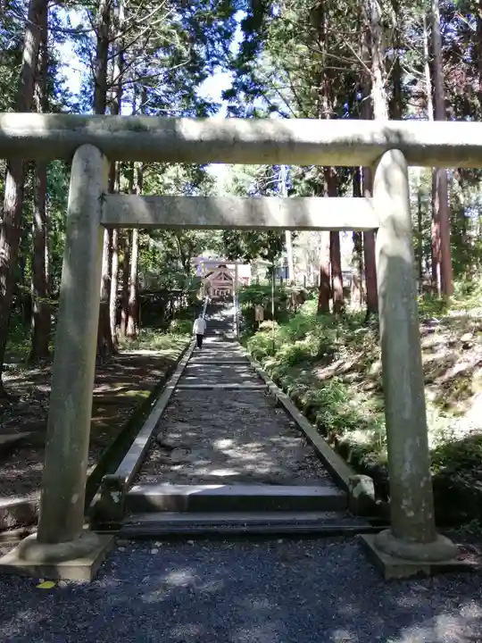 眞名井神社(籠神社奥宮)の鳥居