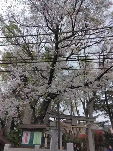 自由が丘熊野神社(東京都)