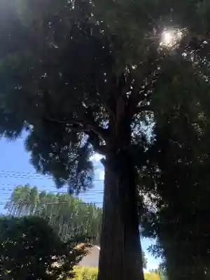 祖母嶽神社の自然