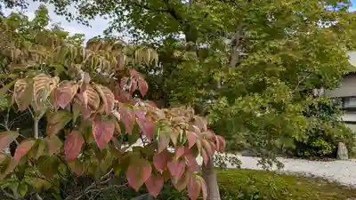 嘉祥寺(京都府)