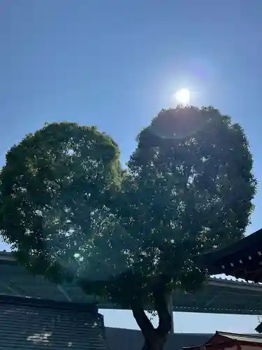 南宮宇佐八幡神社（脇浜神社）(兵庫県)