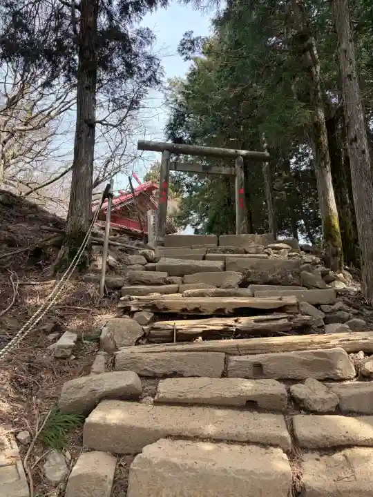 大山阿夫利神社本社の{uncategorized: "未分類", other: "その他", undefined: "問題あり", building: "その他建物", grave: "お墓", sacred_gate: "鳥居", guardian: "狛犬", statue: "像", buddha: "仏像", history: "歴史", nature: "自然", garden: "庭園", animal: "動物", pagoda: "塔", temizu: "手水舎", mountain_gate: "山門・神門", sanctuary: "本殿・本堂", subordinate: "末社・摂社", art: "芸術", scenery: "景色", jizo: "地蔵", ema: "絵馬", goshuin: "御朱印", omikuji: "おみくじ", items: "授与品その他", amulet: "お守り", goshuincho: "御朱印帳", eats: "食事", festival: "お祭り", votive_dance: "神楽", shichigosan: "七五三参", wedding: "結婚式", experience: "体験その他", initially: "初詣", around: "周辺", anti_infection: "感染症対策"}