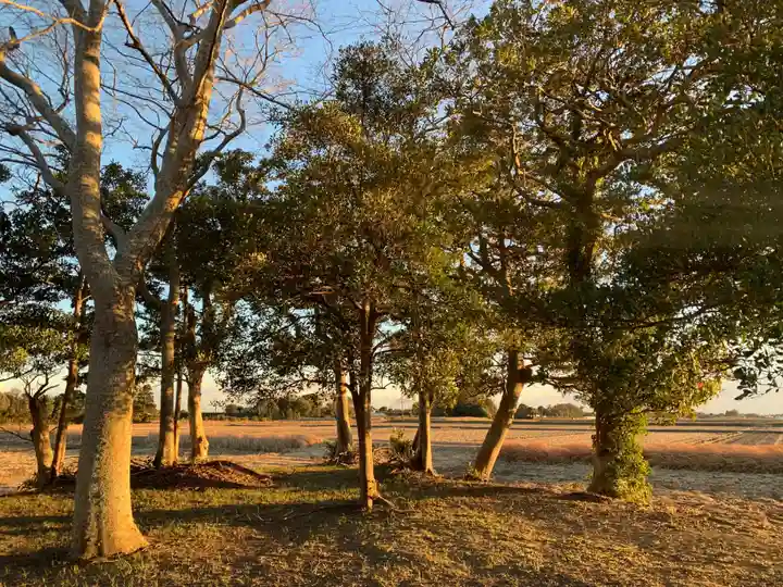 松尾神社(千葉県)