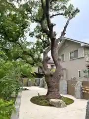 鳥飼八幡宮(福岡県)