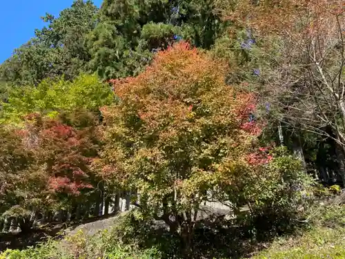 恵那神社の景色