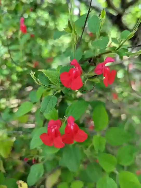 惠心院(京都府)