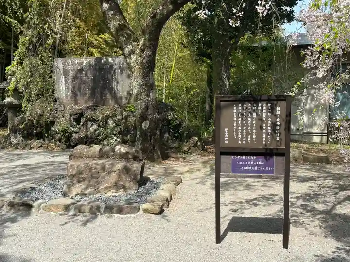 伊豆山神社(静岡県)
