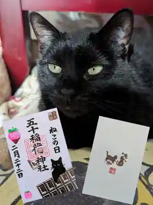 😺ねこの日御朱印と挟み紙😺
22日、23日限定で五十稲荷神社の荷の中に猫がいます😺五十いにゃり神社と読みます😆
他の日は通常の五十稲荷神社になります。
