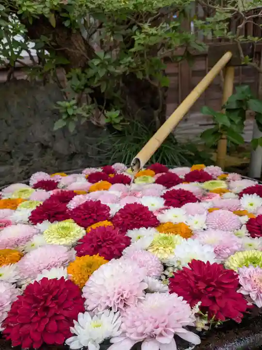 心行寺(東京都)