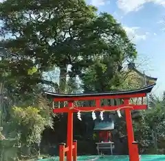 生國魂神社の鳥居