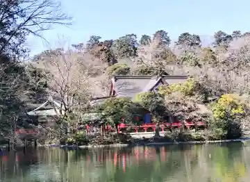 井の頭弁財天(大盛寺)の{uncategorized: "未分類", other: "その他", undefined: "問題あり", building: "その他建物", grave: "お墓", sacred_gate: "鳥居", guardian: "狛犬", statue: "像", buddha: "仏像", history: "歴史", nature: "自然", garden: "庭園", animal: "動物", pagoda: "塔", temizu: "手水舎", mountain_gate: "山門・神門", sanctuary: "本殿・本堂", subordinate: "末社・摂社", art: "芸術", scenery: "景色", jizo: "地蔵", ema: "絵馬", goshuin: "御朱印", omikuji: "おみくじ", items: "授与品その他", amulet: "お守り", goshuincho: "御朱印帳", eats: "食事", festival: "お祭り", votive_dance: "神楽", shichigosan: "七五三参", wedding: "結婚式", experience: "体験その他", initially: "初詣", around: "周辺", anti_infection: "感染症対策"}