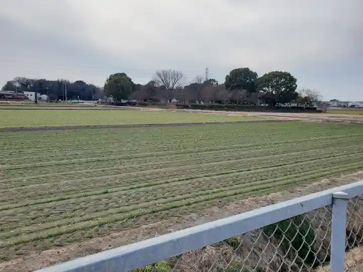 観音堂(邑楽町藤川)(群馬県)