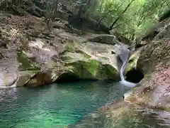 龍鎮神社の自然