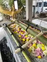 富岡八幡宮(東京都)