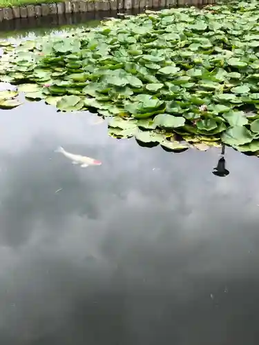 出世弁財天女宮の庭園