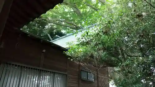 香取神社（関宿香取神社）の本殿・本堂