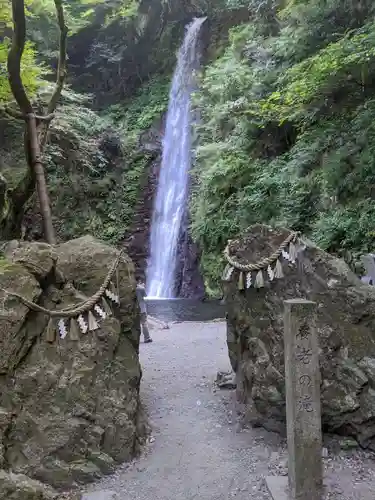 養老神社の自然