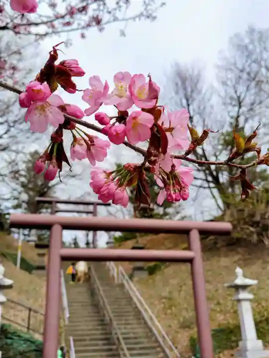 厚別神社(北海道)