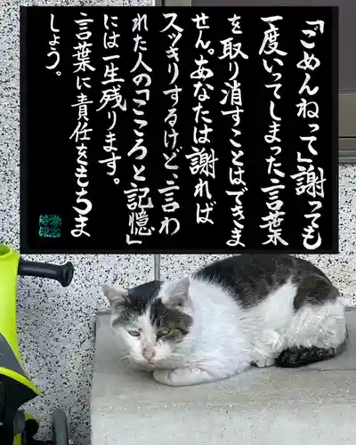 専念寺(大阪府)